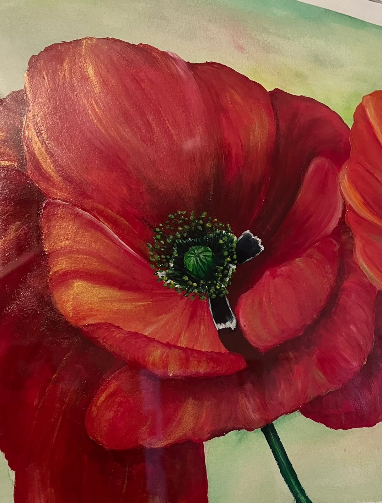 Großformatige rote Mohnblume, gemalt von Swantje